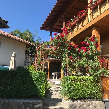 Guest House Roden Dom 코프리브시티차 외부 사진