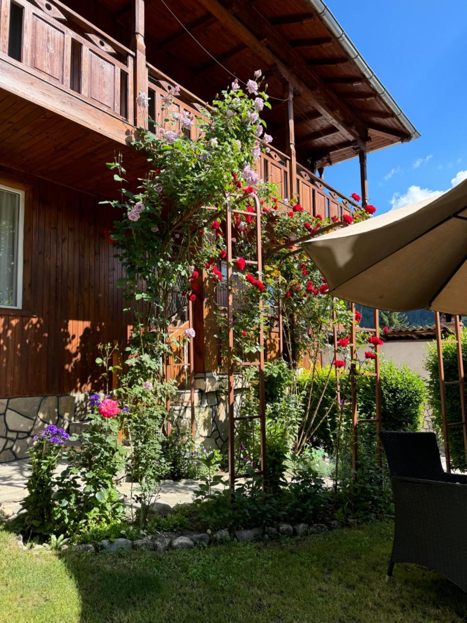 Guest House Roden Dom 코프리브시티차 외부 사진