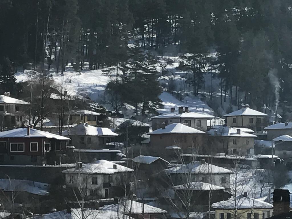 Guest House Roden Dom 코프리브시티차 외부 사진