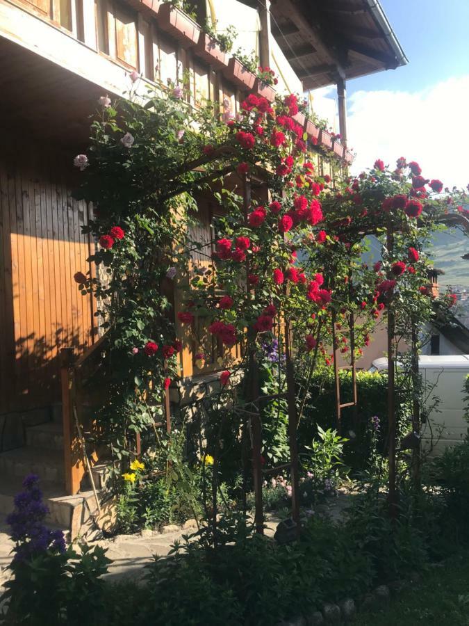 Guest House Roden Dom 코프리브시티차 외부 사진